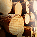 Глоссарий основных терминов по деревообработке