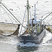 Глоссарий рыболовных терминов в рыбной промышленности